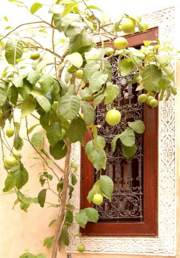 Riad Dar Rania Marrakech Medina Jemaa El Fna Марракеш Екстер'єр фото